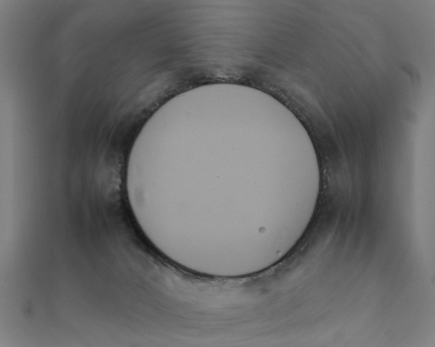 X0000111230032200907301255