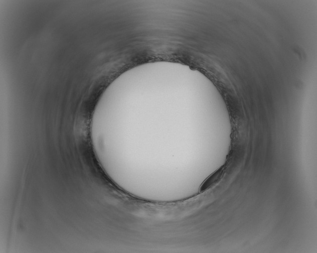 X0000111230033200907301255