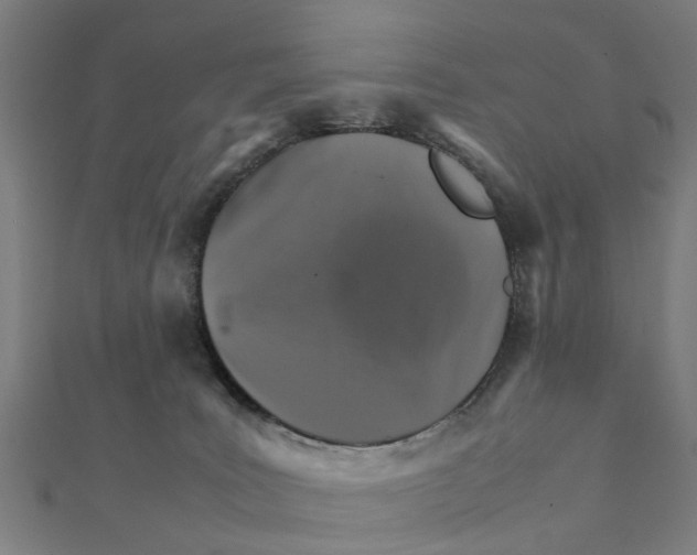 X0000111230035200907301255