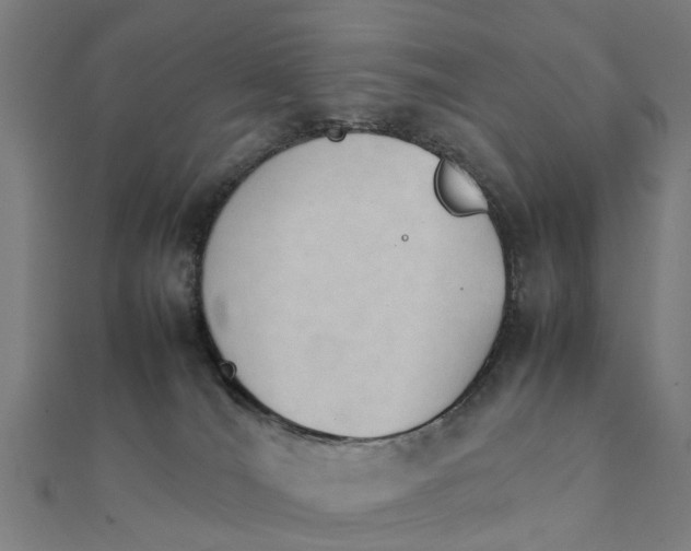 X0000111230036200907301255