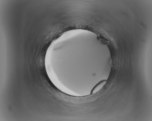 X0000111230039200907301255