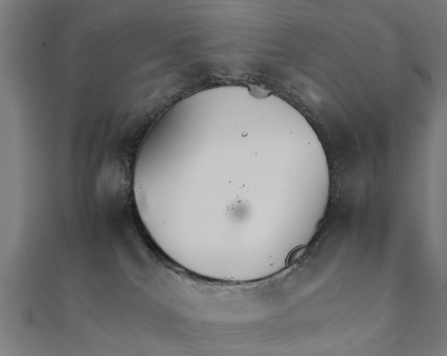 X0000111230040200907301255