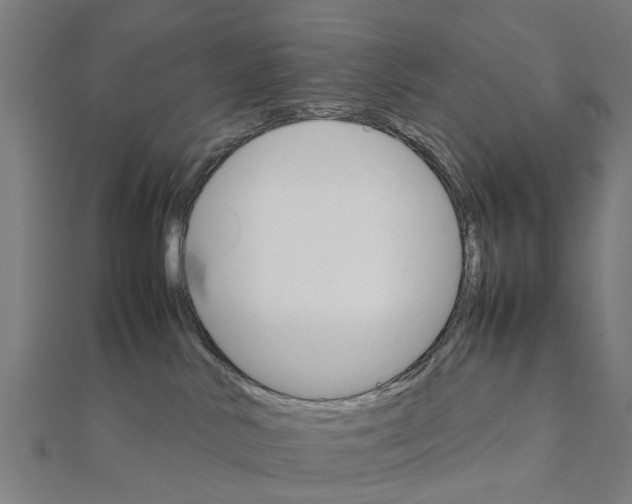 X0000111230042200907301255