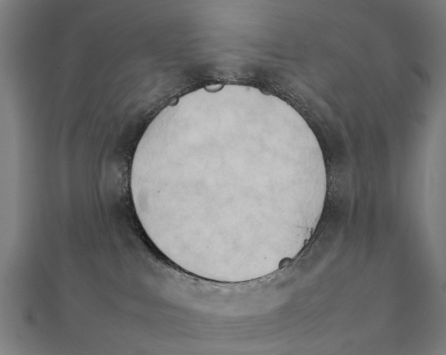 X0000111230043200907301255