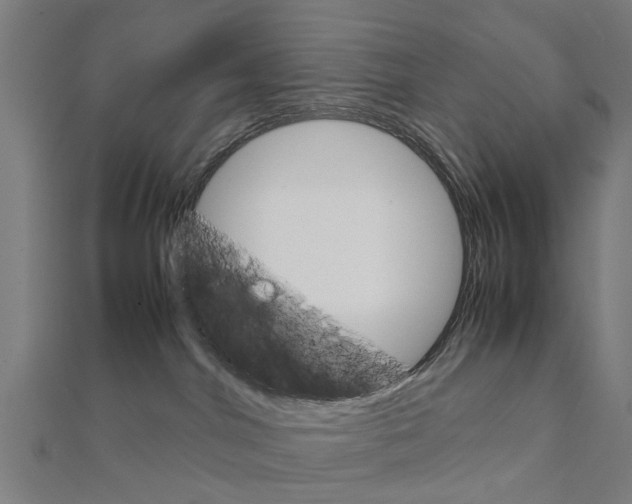 X0000111230044200907301255