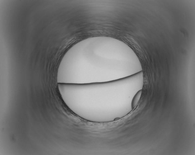 X0000111230045200907301255