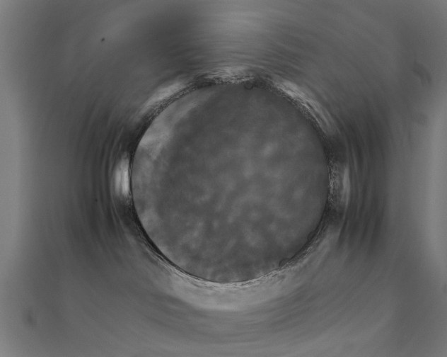 X0000111230046200907301255