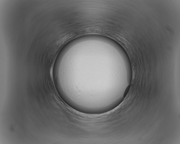 X0000111230047200907301255