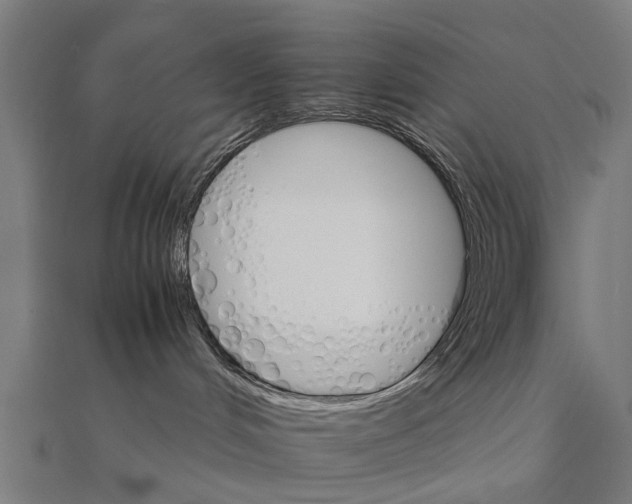 X0000111230048200907301255