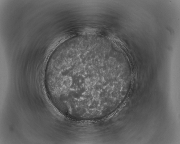 X0000111230049200907301254