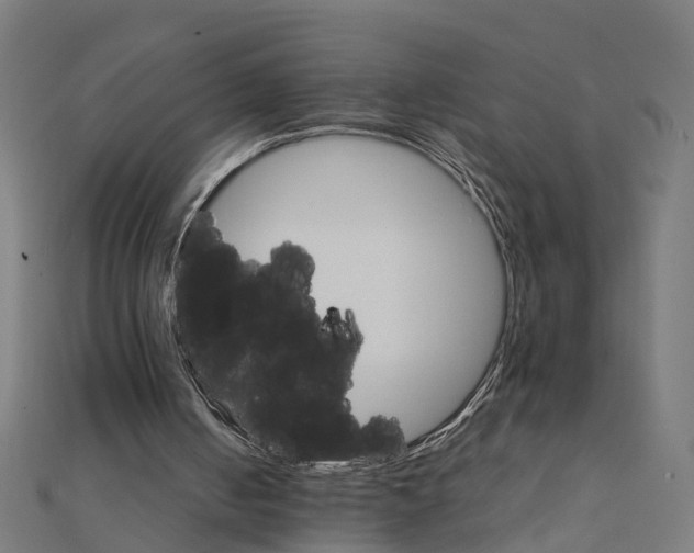 X0000111230050200907301254