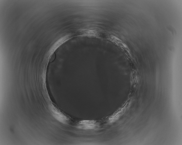 X0000111230051200907301254
