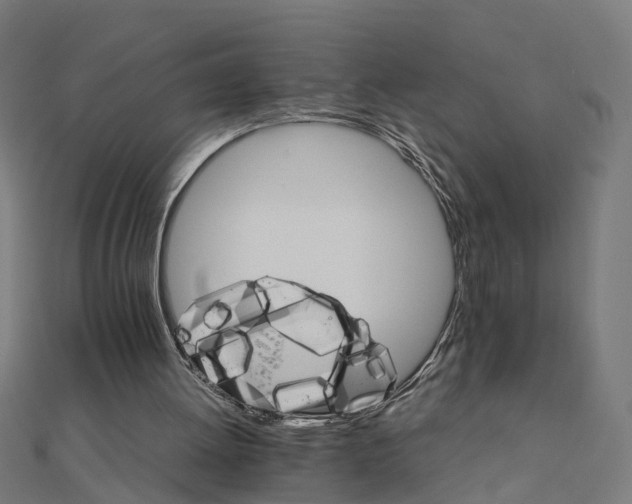 X0000111230052200907301254