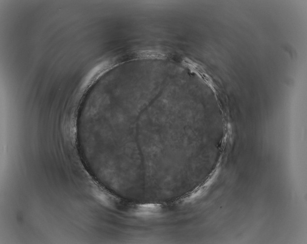 X0000111230053200907301254