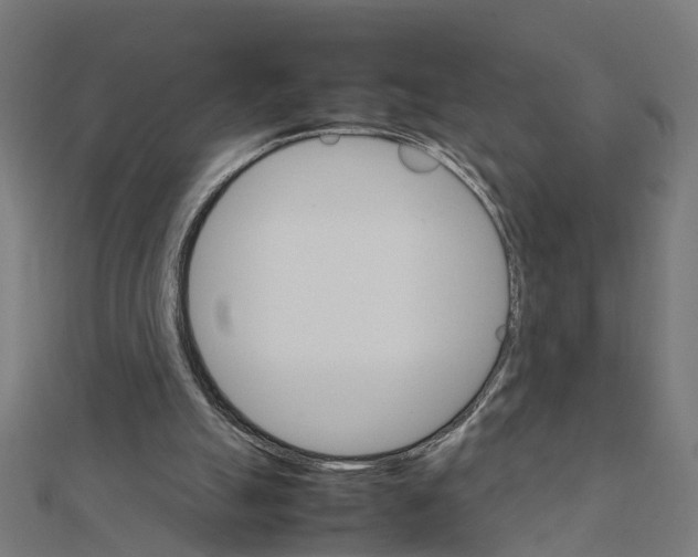 X0000111230055200907301254