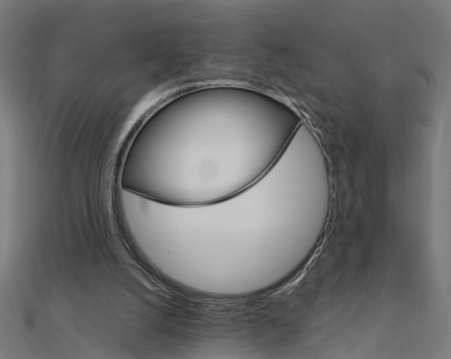 X0000111230056200907301254