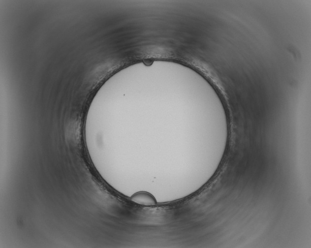 X0000111230057200907301254