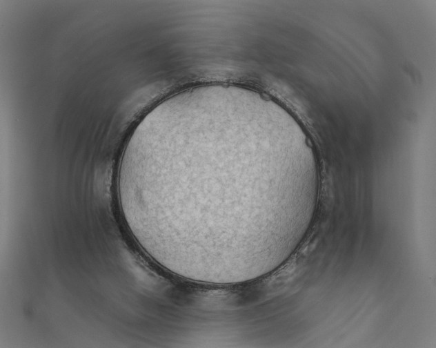 X0000111230058200907301254