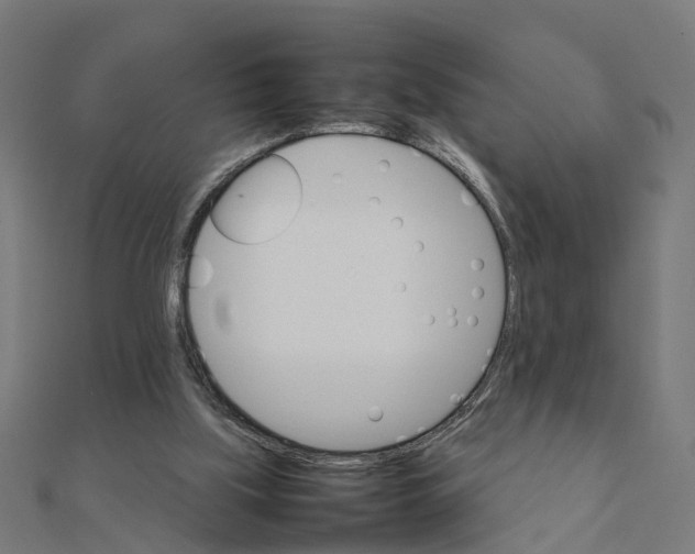 X0000111230059200907301254