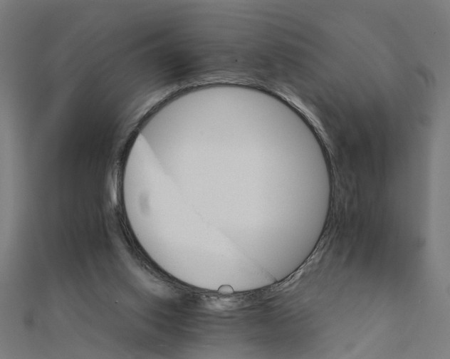 X0000111230062200907301254