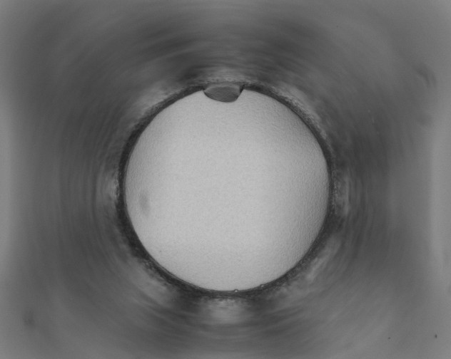X0000111230063200907301254