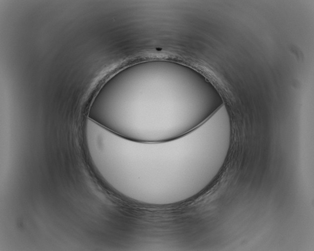 X0000111230064200907301254