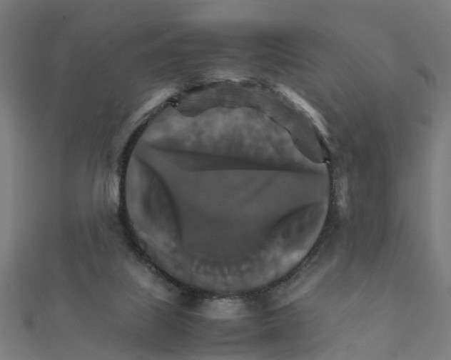 X0000111230067200907301254
