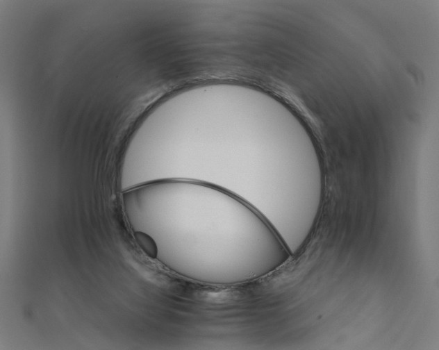 X0000111230068200907301254