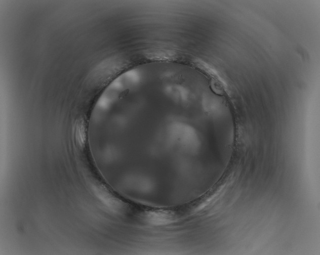 X0000111230069200907301254