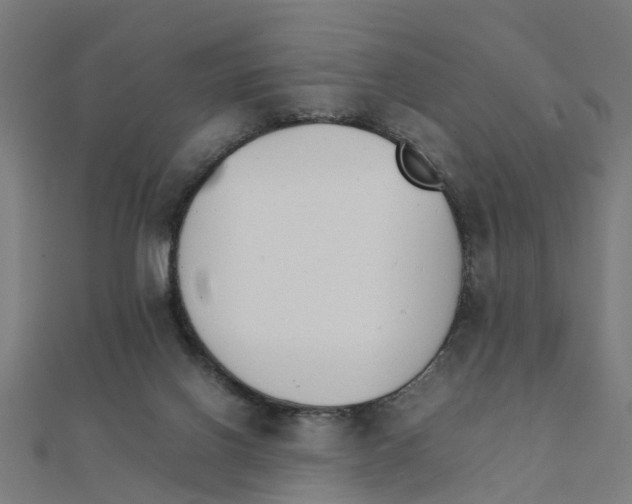 X0000111230070200907301254