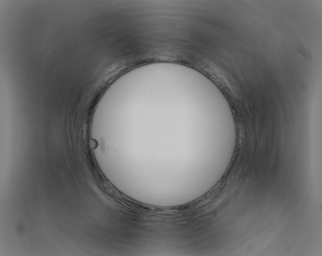 X0000111230072200907301254