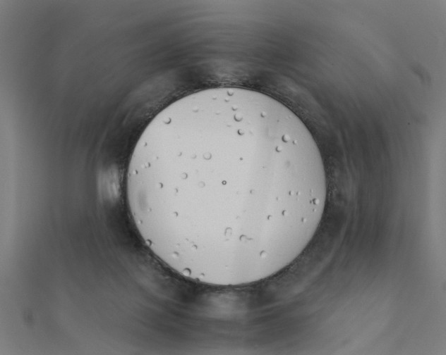 X0000111230075200907301254