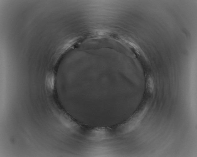 X0000111230076200907301254