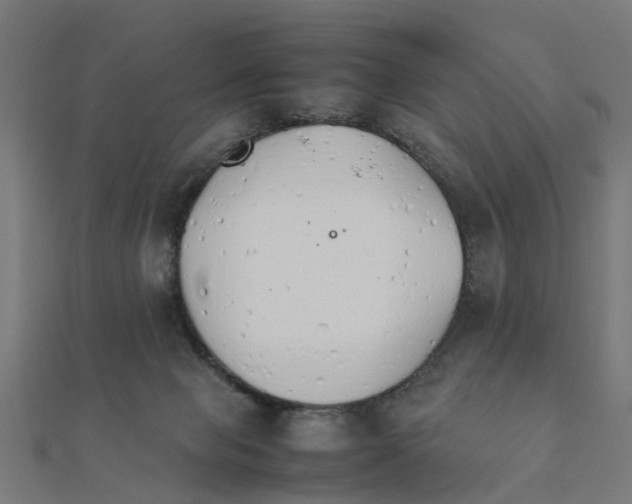 X0000111230077200907301254