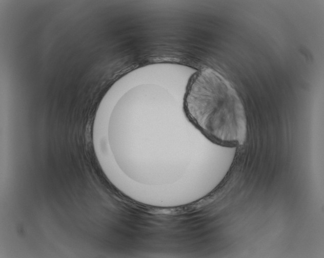 X0000111230079200907301254