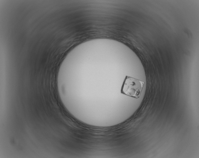 X0000111230080200907301254