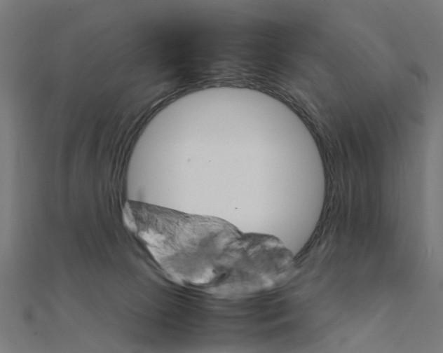 X0000111230081200907301254
