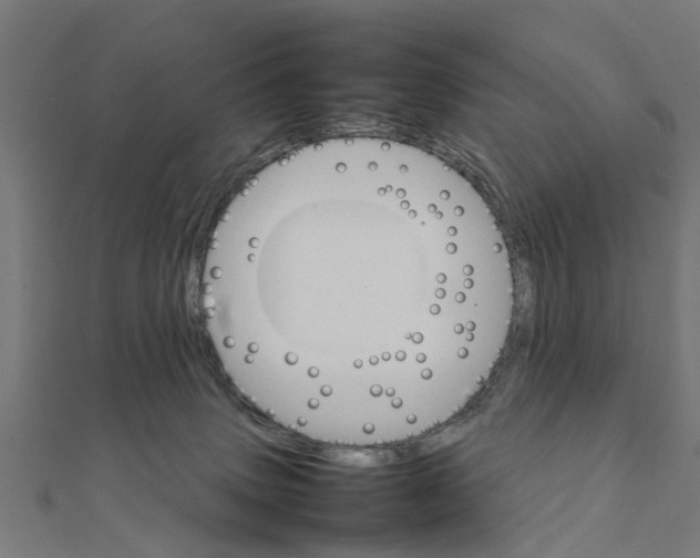 X0000111230083200907301255