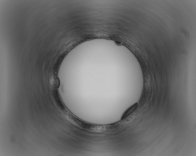 X0000111230084200907301255