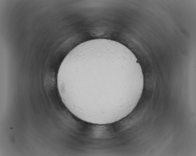 X0000111230085200907301255