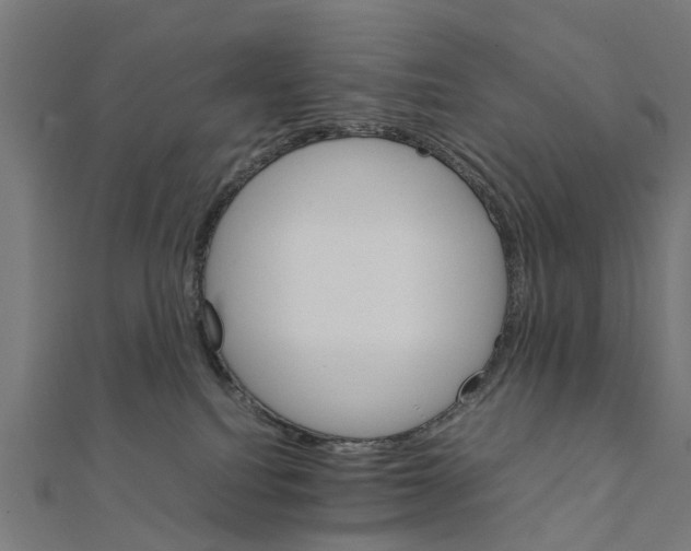 X0000111230088200907301255