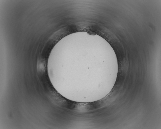 X0000111230090200907301255
