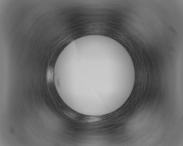 X0000111230095200907301255