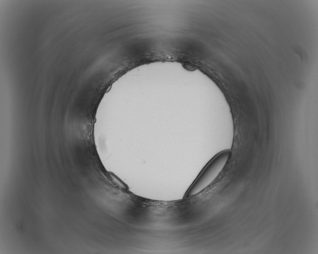 X0000111230096200907301255