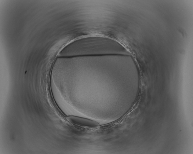X0000111230097200907301254