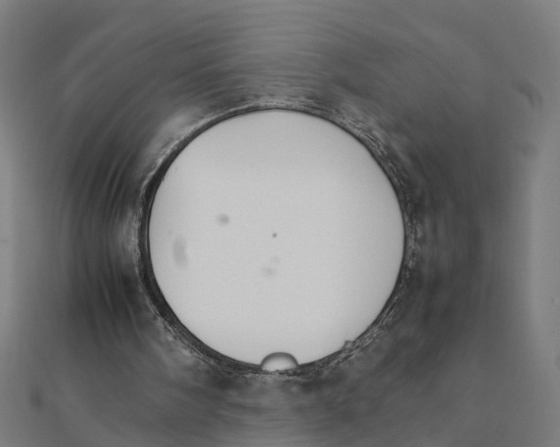 X0000111230098200907301254