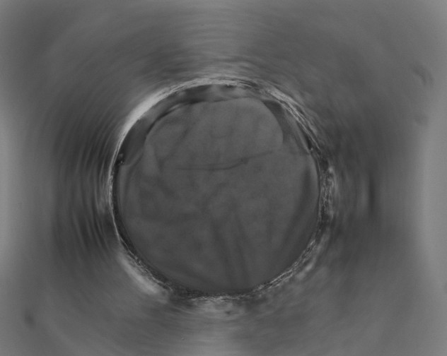 X0000111230100200907301254