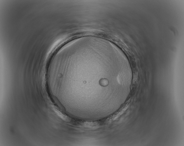 X0000111230101200907301254