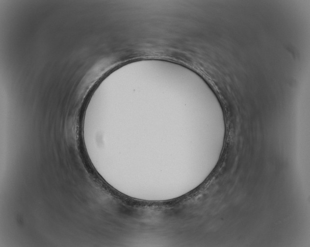 X0000111230103200907301254