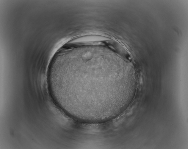 X0000111230104200907301254